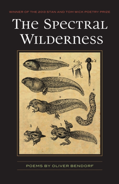 The Spectral Wilderness - Oliver Bendorf
