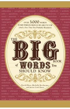 The Big Book of Words You Should Know: Over 3,000 Words Every Person Should Be Able to Use (and a Few That You Probably Shouldn't) - David Olsen