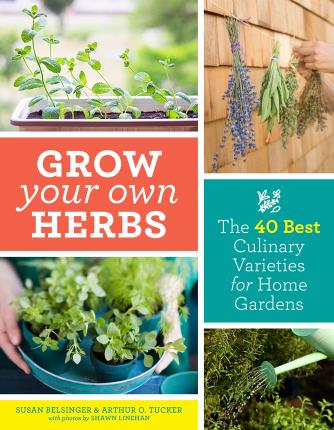Grow Your Own Herbs: The 40 Best Culinary Varieties for Home Gardens - Susan Belsinger