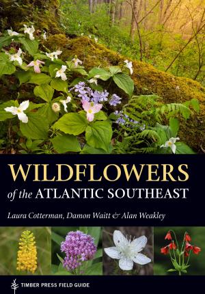 Wildflowers of the Atlantic Southeast - Laura Cotterman