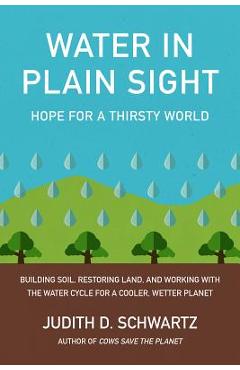 Poza produsului Water in Plain Sight: Hope for a Thirsty World - Judith D. Schwartz