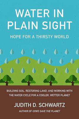 Water in Plain Sight: Hope for a Thirsty World - Judith D. Schwartz