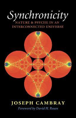 Synchronicity, Volume 15: Nature and Psyche in an Interconnected Universe - Joseph Cambray