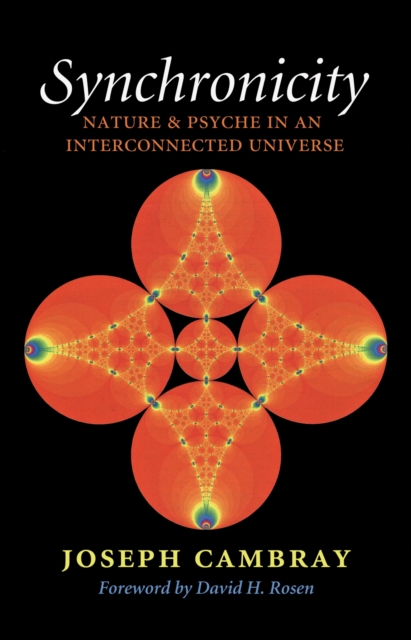 Synchronicity, Volume 15: Nature and Psyche in an Interconnected Universe - Joseph Cambray