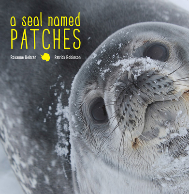 A Seal Named Patches - Roxanne Beltran