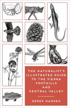 The Naturalist's Illustrated Guide to the Sierra Foothills and Central Valley - Derek Madden