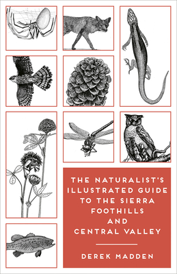 The Naturalist's Illustrated Guide to the Sierra Foothills and Central Valley - Derek Madden
