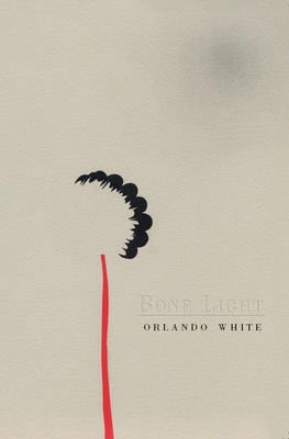Bone Light - Orlando White