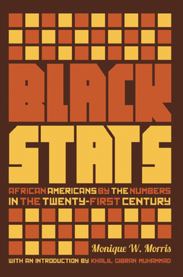 Black Stats: African Americans by the Numbers in the Twenty-First Century - Monique W. Morris