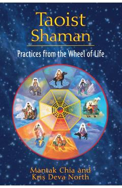 Taoist Shaman: Practices from the Wheel of Life - Mantak Chia