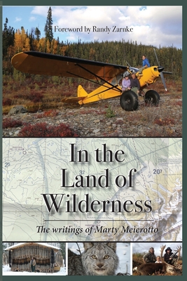 In the Land of Wilderness - Marty Meierotto
