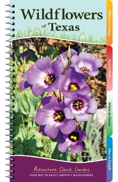 Wildflowers of Texas: Your Way to Easily Identify Wildflowers - George Oxford Miller