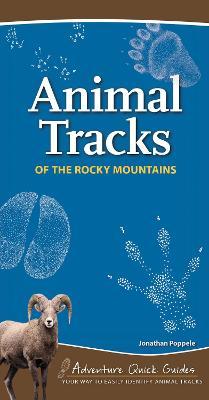 Animal Tracks of the Rocky Mountains: Your Way to Easily Identify Animal Tracks - Jonathan Poppele