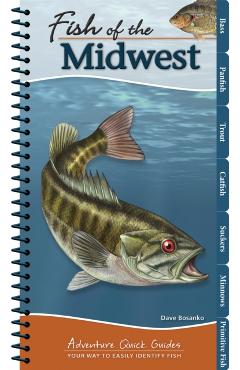 Fish of the Midwest: Your Way to Easily Identify Fish - Dave Bosanko