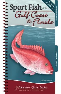 Sport Fish of the Gulf Coast & Florida: Your Way to Easily Identify Sport Fish - Dave Bosanko