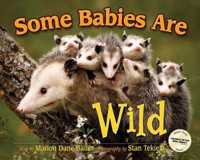 Some Babies Are Wild - Marion Dane Bauer