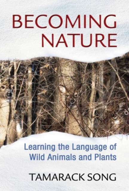 Becoming Nature: Learning the Language of Wild Animals and Plants - Tamarack Song