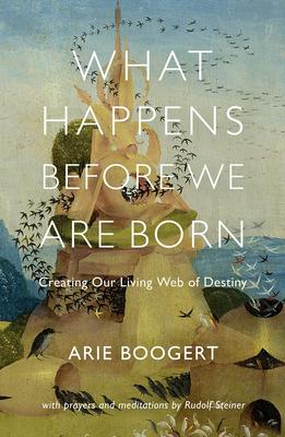 What Happens Before We Are Born: Creating Our Living Web of Destiny - Arie Boogert