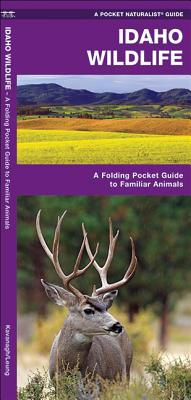 Idaho Wildlife: A Folding Pocket Guide to Familiar Animals - James Kavanagh