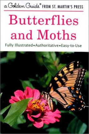 Butterflies and Moths: A Fully Illustrated, Authoritative and Easy-To-Use Guide - Robert T. Mitchell