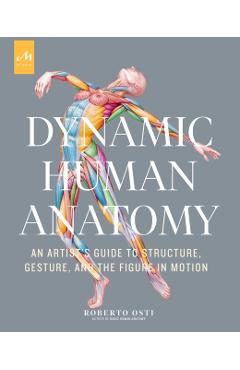 Dynamic Human Anatomy: An Artist's Guide to Structure, Gesture, and the Figure in Motion - Roberto Osti