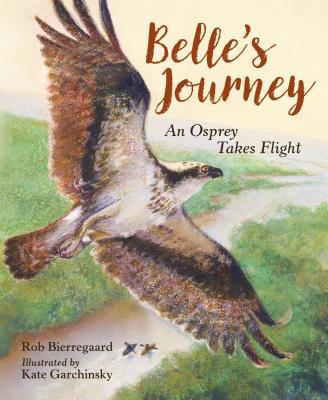 Belle's Journey: An Osprey Takes Flight - Rob Bierregaard
