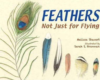 Feathers: Not Just for Flying - Melissa Stewart