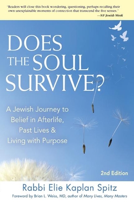 Does the Soul Survive? (2nd Edition): A Jewish Journey to Belief in Afterlife, Past Lives & Living with Purpose - Elie Kaplan Spitz