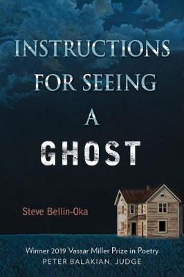 Instructions for Seeing a Ghost - Steve Bellin-oka
