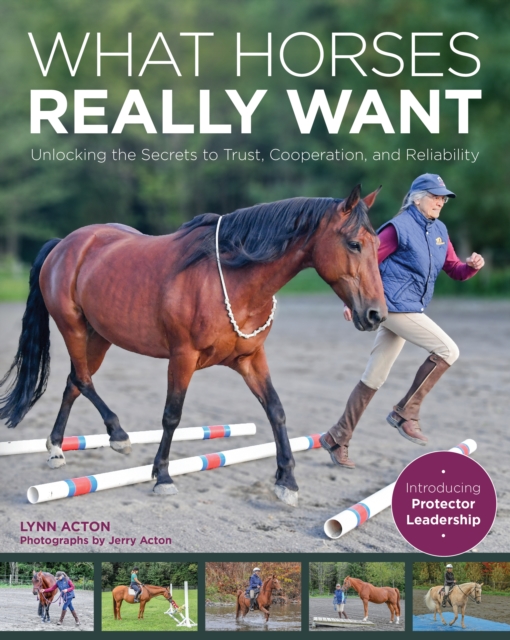 What Horses Really Want: Unlocking the Secrets to Trust, Cooperation and Reliability - Lynn Acton