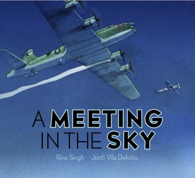 A Meeting in the Sky - Rina Singh