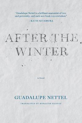 After the Winter - Guadalupe Nettel