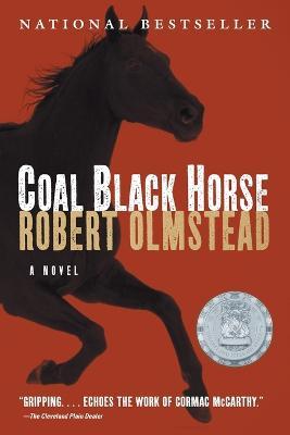 Coal Black Horse - Robert Olmstead