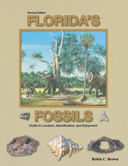 Florida's Fossils, Third Edition - Robin C. Brown