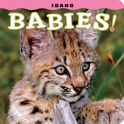 Idaho Babies! - Steph Lehmann