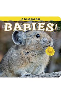 Coperta cărții 'Colorado Babies! - Steph Lemann'