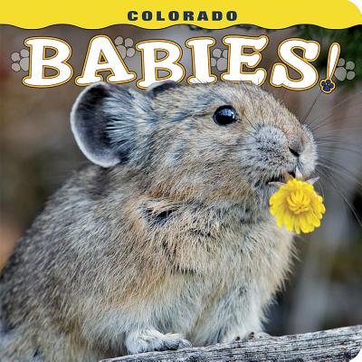 Colorado Babies! - Steph Lemann