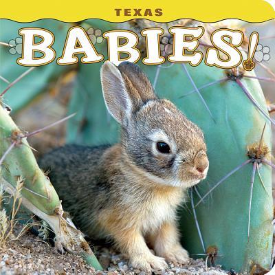 Texas Babies! - Steph Lehmann