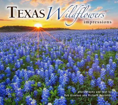 Texas Wildflowers Impressions - Rob Greebon
