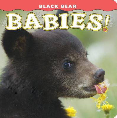 Black Bear Babies! - Donald M. Jones