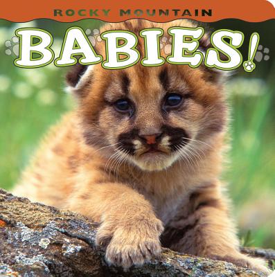 Rocky Mountain Babies! - Wendy Shattil