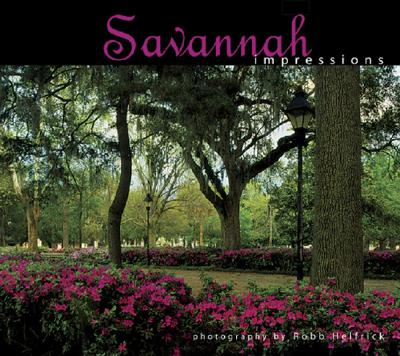 Savannah Impressions - Robb Helfrick