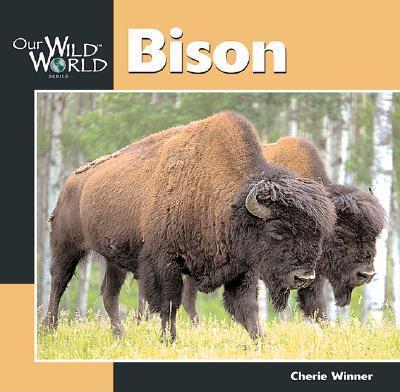 Bison - Cherie Winner