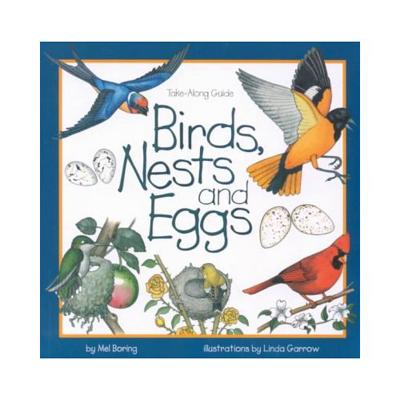 Birds, Nests & Eggs - Mel Boring