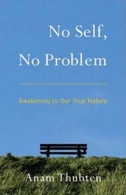 No Self, No Problem: Awakening to Our True Nature - Anam Thubten