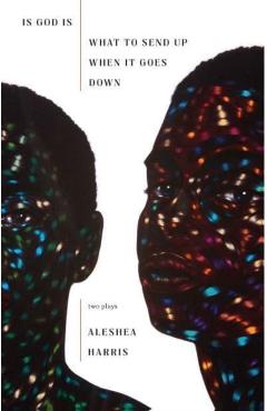 Is God Is / What to Send Up When It Goes Down - Aleshea Harris