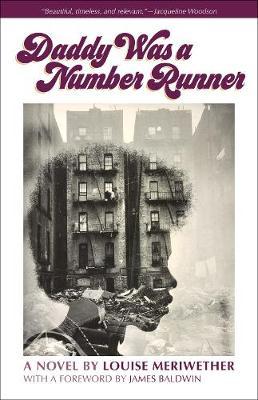 Daddy Was a Number Runner - Louise Meriwether
