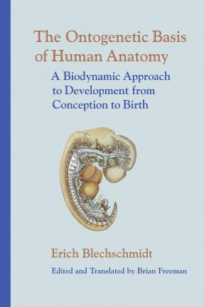 The Ontogenetic Basis of Human Anatomy: A Biodynamic Approach to Development from Conception to Birth - Erich Blechschmidt
