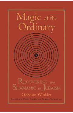 Coperta cărții 'Magic of the Ordinary: Recovering the Shamanic in Judaism - Gershon Winkler'