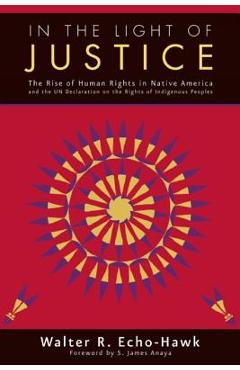 Coperta cărții 'In the Light of Justice: The Rise of Human Rights in Native America and the Un Declaration on the Rights of Indigenous'